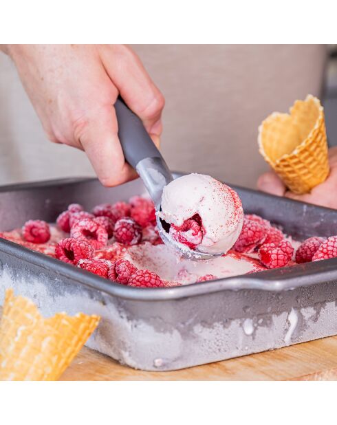 Cuillère à glace grise