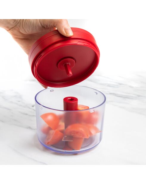 Hachoir manuel rouge