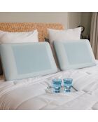 Oreiller ergonomique Viscoelastique Eté Hiver beige/bleu - 60x40 cm