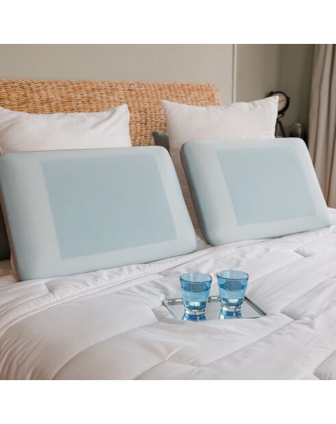 Oreiller ergonomique Viscoelastique Eté Hiver beige/bleu - 60x40 cm