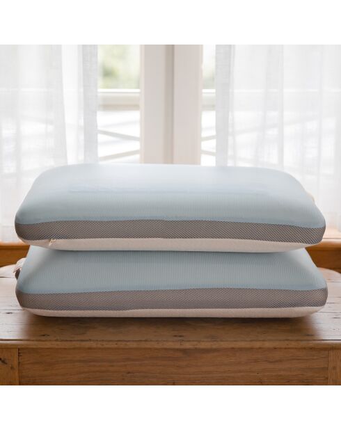 Oreiller ergonomique Viscoelastique Eté Hiver beige/bleu - 60x40 cm