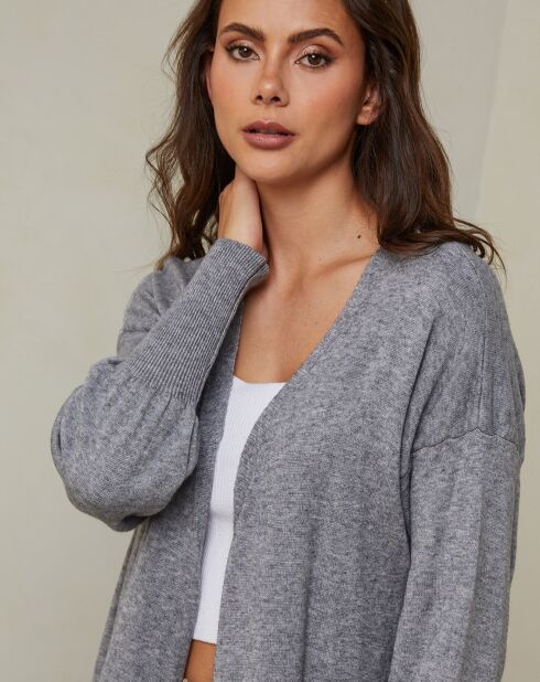 Gilet en Cachemire mélangé Heviz gris