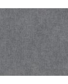 Papier peint Zinc Gris Trois - 70 x 1005 cm