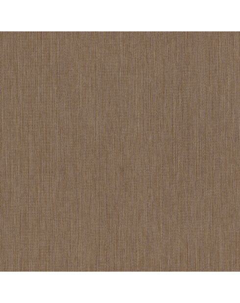 Papier peint Acoara Taupe 2 - 70 x 1005 cm