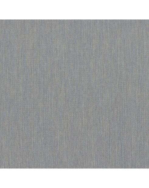 Papier peint Acoara Gris Bleuté - 70 x 1005 cm