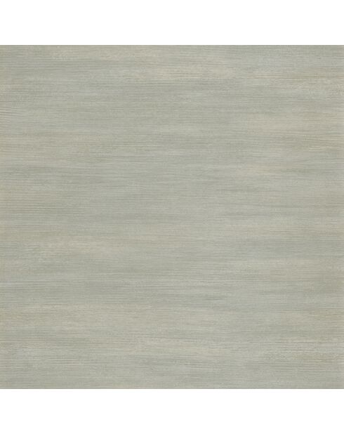 Papier peint Vivacite Mastic - 70 x 1005 cm
