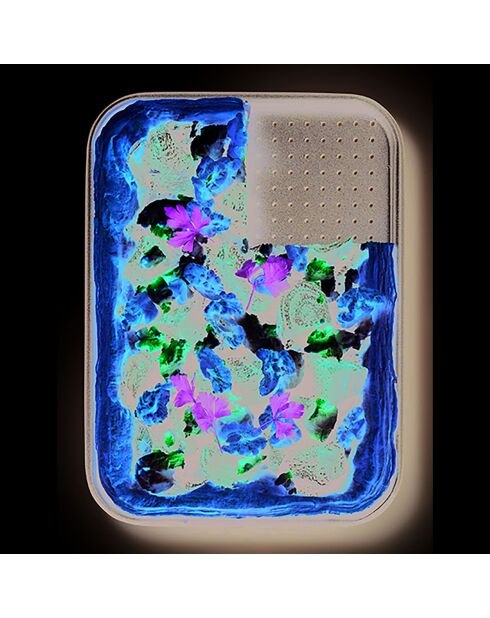 Plat de cuisson noir - 18x18.5x1.5 cm