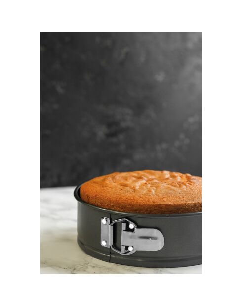 Moule À Gâteau à Charnière gris - D.21 cm