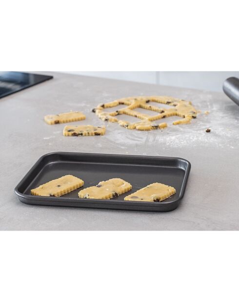 Plateau de cuisson gris - 24x18x1.5 cm