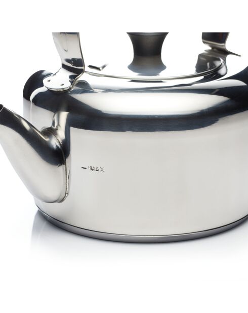 Bouilloire en Acier Inoxydable argentée - 20x27.5x23.5 cm