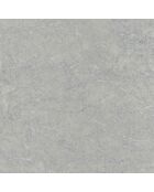 Papier peint Oxyde Lierre Beige Ardoise Irisé - 53 x 1005 cm