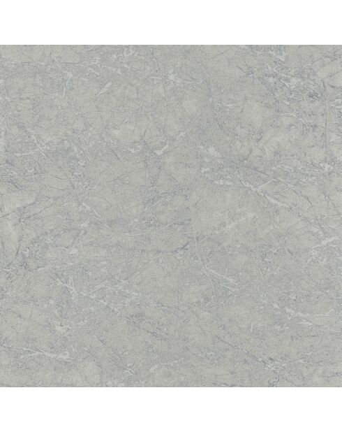 Papier peint Oxyde Lierre Beige Ardoise Irisé - 53 x 1005 cm