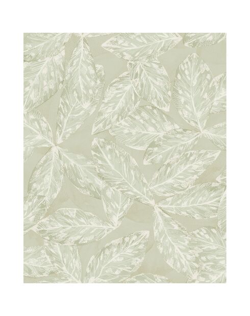 Papier peint Jardins Suspendus Hevea Vert Argile - 53 x 1005 cm