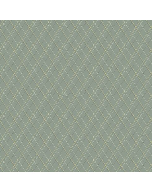 Papier peint Oxford Oliver Kaki - 53 x 1005 cm