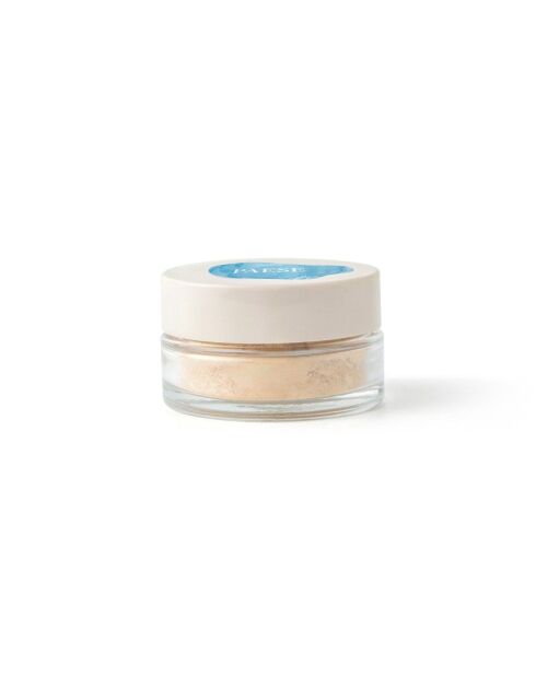 Fond de teint minéral matifiant PAESE Minerals - Vegan - 7 g-100N Light Beige