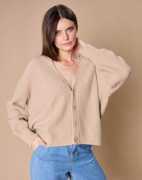 Cardigan en Laine & Cachemire mélangés Noémie beige chiné