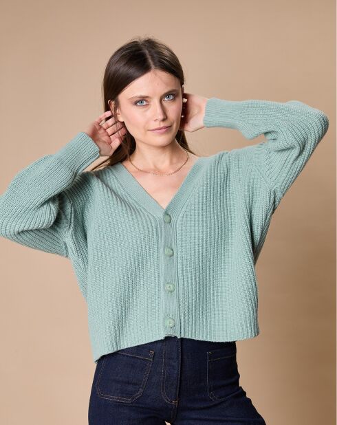 Cardigan en Laine & Cachemire mélangés Noémie sauge