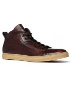 Sneakers en Cuir Tribeca marron