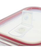 6 transparante Clementine hermetische dozen - 153x112x57 mm