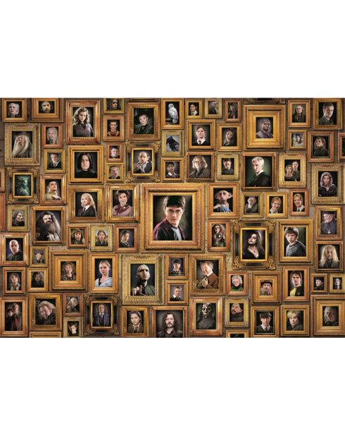 Puzzle Harry Potter - 1000 pièces