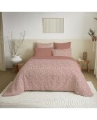 Pack Housse de couette imprimée + Drap housse + 4 Taies d'oreiller pêche - pour lit 140x190 cm