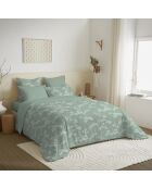 Pack Housse de couette imprimée + Drap housse + 4 Taies d'oreiller menthe - pour lit 140x190 cm