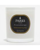 Bougie parfumée Aromatherapy Bois de Santal & Ylang Ylang  - 1 mèche 48h