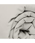 Drap Housse gris
