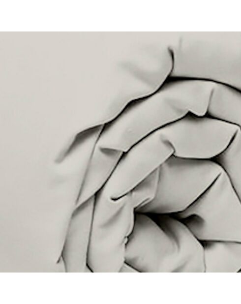 Drap Housse gris