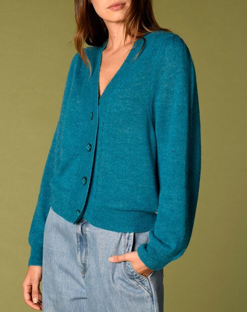 Gilet en Alpaga & Laine mélangés Valentin caraïbes