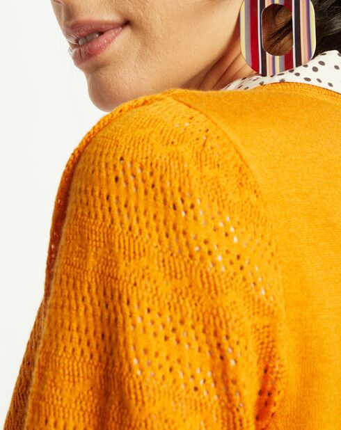 Pull Virginie motifs ajourés tournesol
