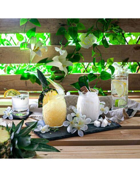 6 Verres à Liqueur/Whisky transparents - 28cl