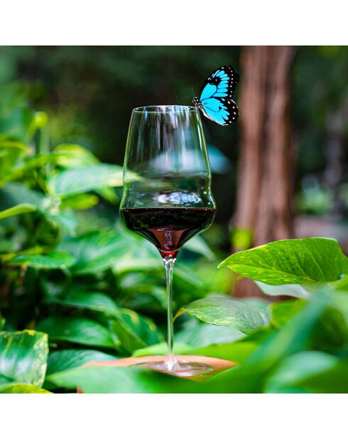 6 Verres à Vin Transparents - 61cl