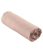 Drap Housse Percale de Coton nude
