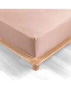 Drap Housse Percale de Coton nude