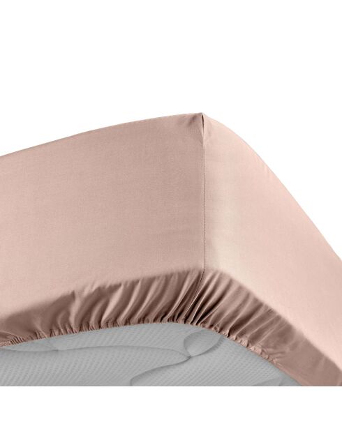 Drap Housse Percale de Coton nude
