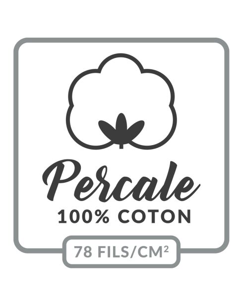 Drap Housse Percale de Coton tilleul