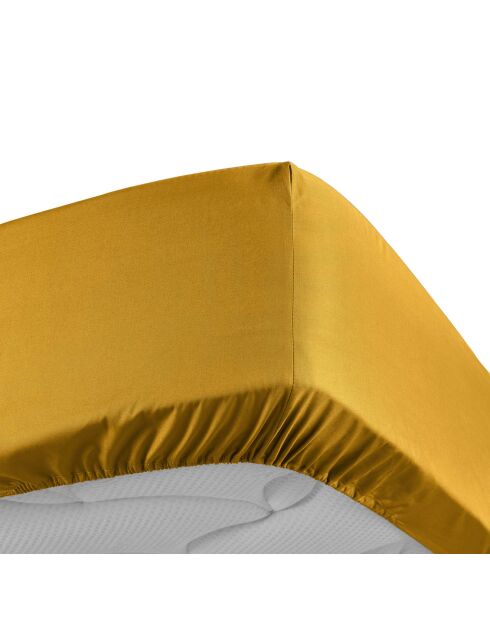 Drap Housse Percale de Coton curry