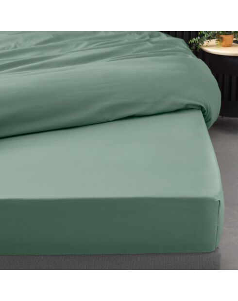 Drap Housse Percale de Coton tilleul