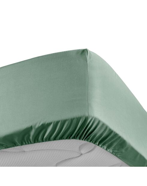 Drap Housse Percale de Coton tilleul