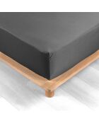 Drap Housse Percale de Coton acier