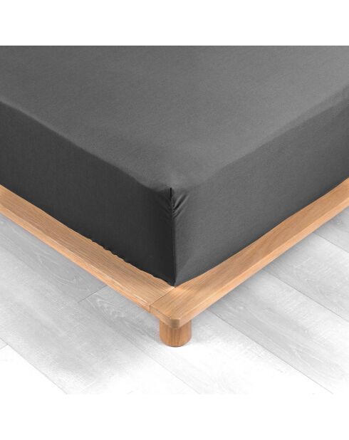 Drap Housse Percale de Coton acier