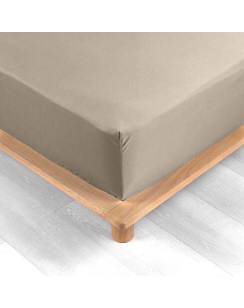 Drap Housse Percale de Coton sable
