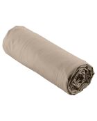 Drap Housse Percale de Coton sable