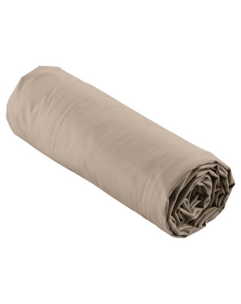 Drap Housse Percale de Coton sable