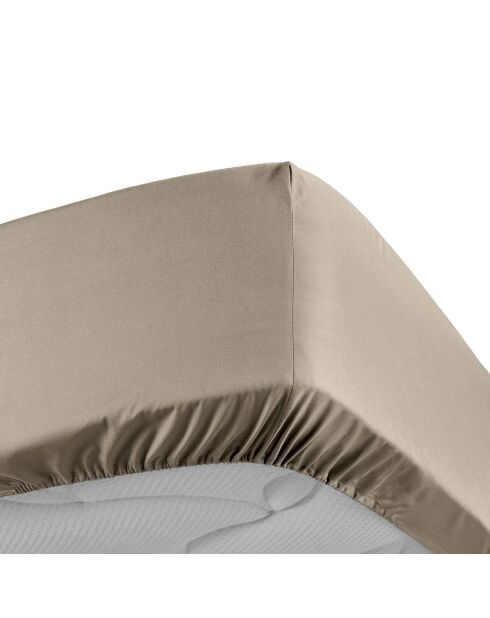 Drap Housse Percale de Coton sable