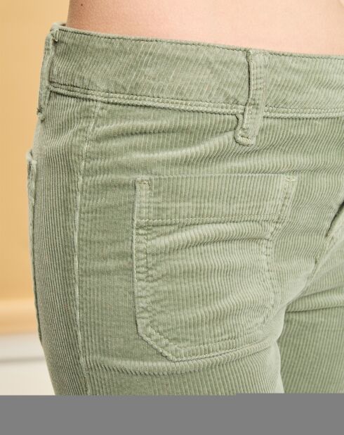 Jean Charlotte tilleul