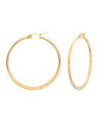 Boucles d'oreilles en Acier plaqué Or & Zircone