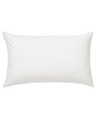 Coussin en Velours de Coton Cleo vert céladon - 50x30 cm