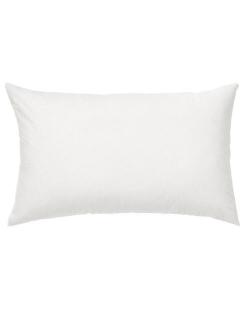 Coussin en Velours de Coton Cleo vert céladon - 50x30 cm